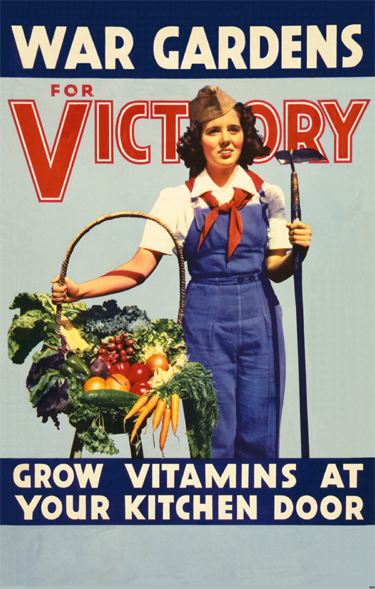 Words in blue and red say War Gardens for Victory: Grow vitamins at your kitched door. There is a picture of a women holding a basket full of vegetables